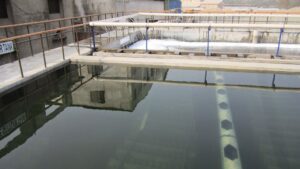 Sewage Treatment Plant